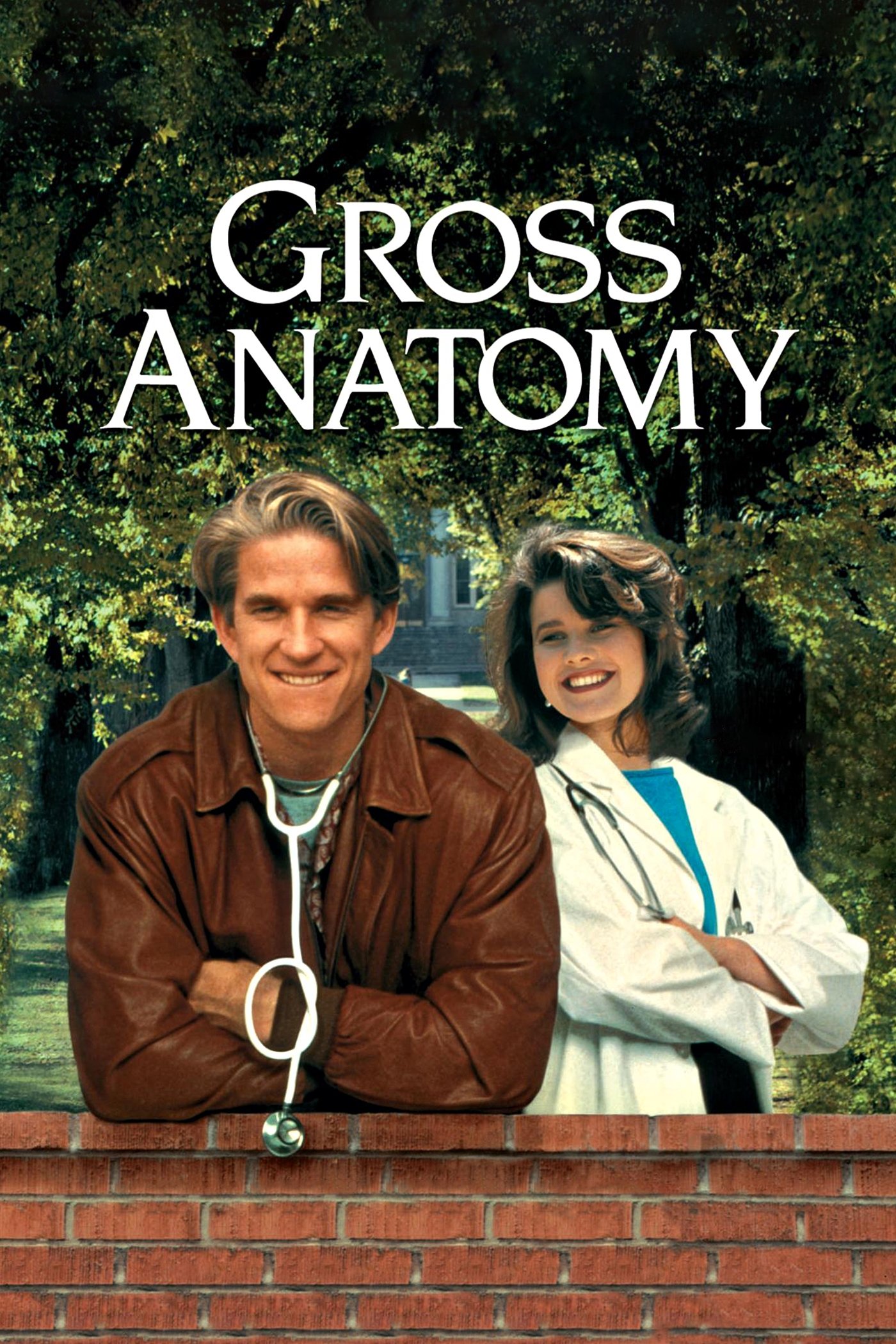 Постер Gross Anatomy